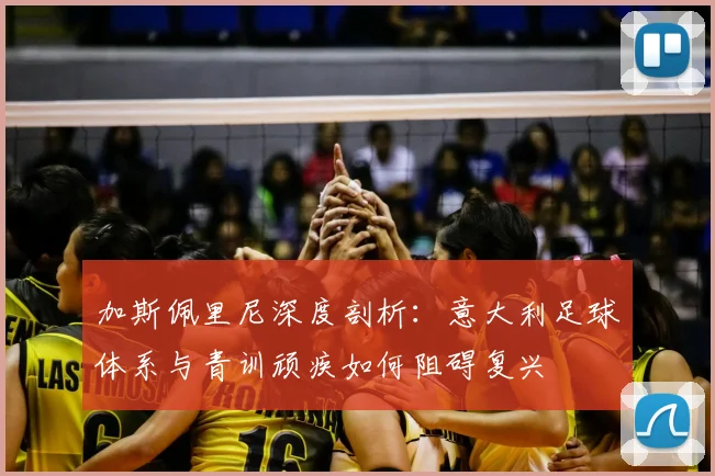 加斯佩里尼深度剖析：意大利足球体系与青训顽疾如何阻碍复兴