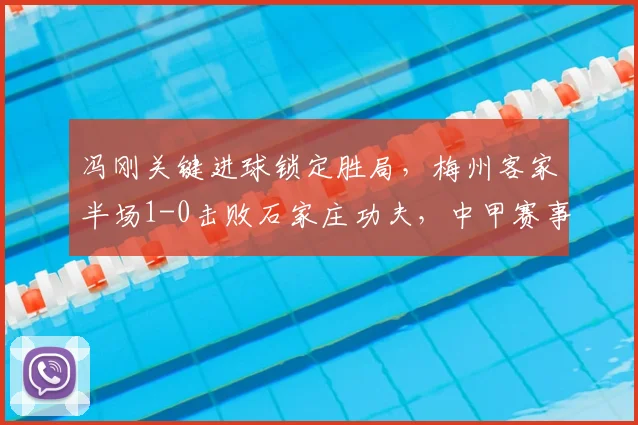 冯刚关键进球锁定胜局，梅州客家半场1-0击败石家庄功夫，中甲赛事深度解析